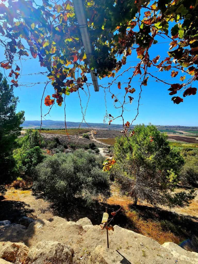 القدس | موسوعة القرى الفلسطينية